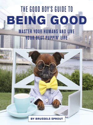 cover image of The Good Boy's Guide to Being Good